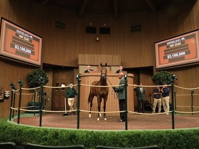 Sale at Keeneland in November is Bustling totaling ... Image 1